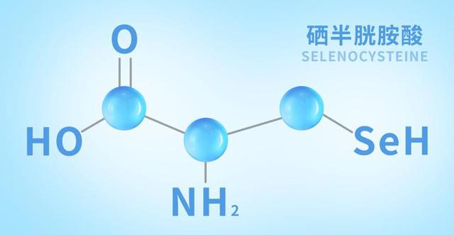 补硒排毒表现(硒元素权威研究)-硒宝网