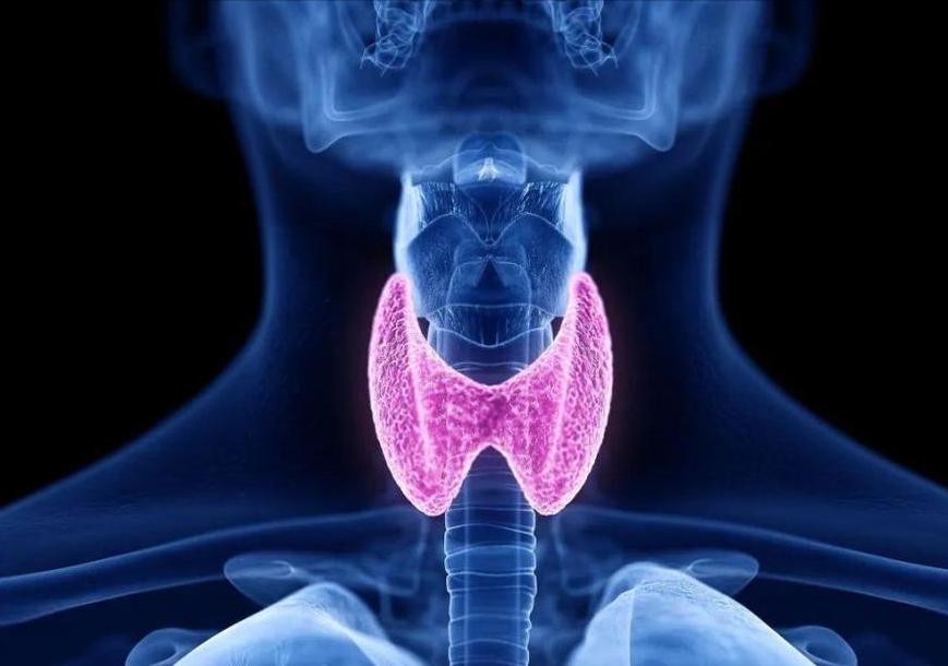 甲减病人补硒(茄子甲状腺作用)-硒宝网