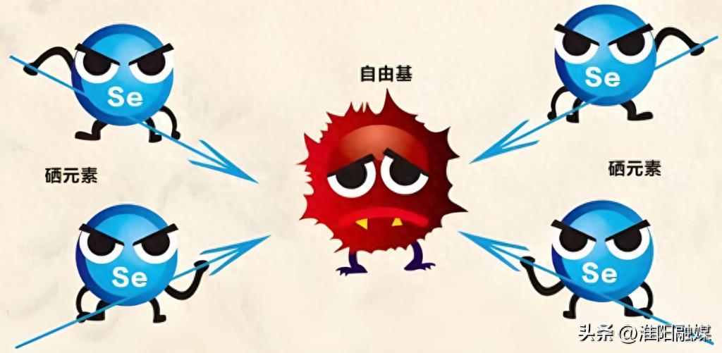 补硒补锌的药（锌硒片选购指南）-硒宝网