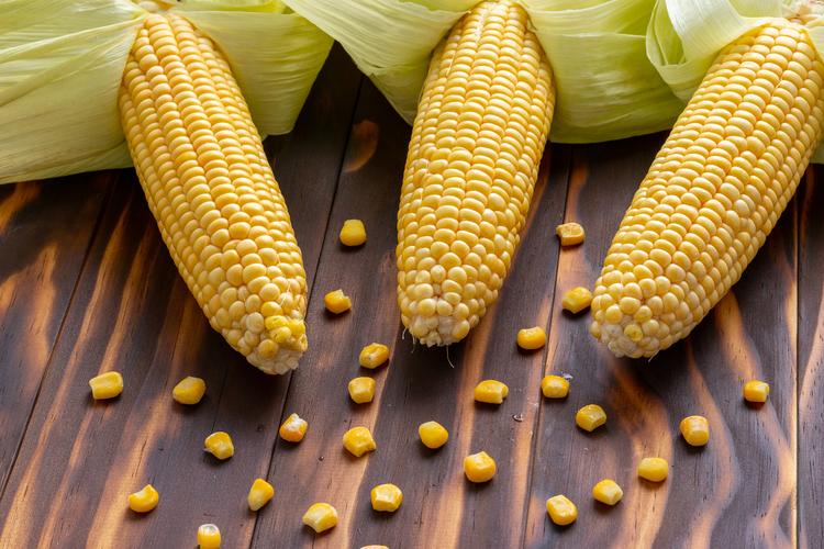 甲减病人补硒(十字花科蔬菜对甲状腺的影响)-硒宝网