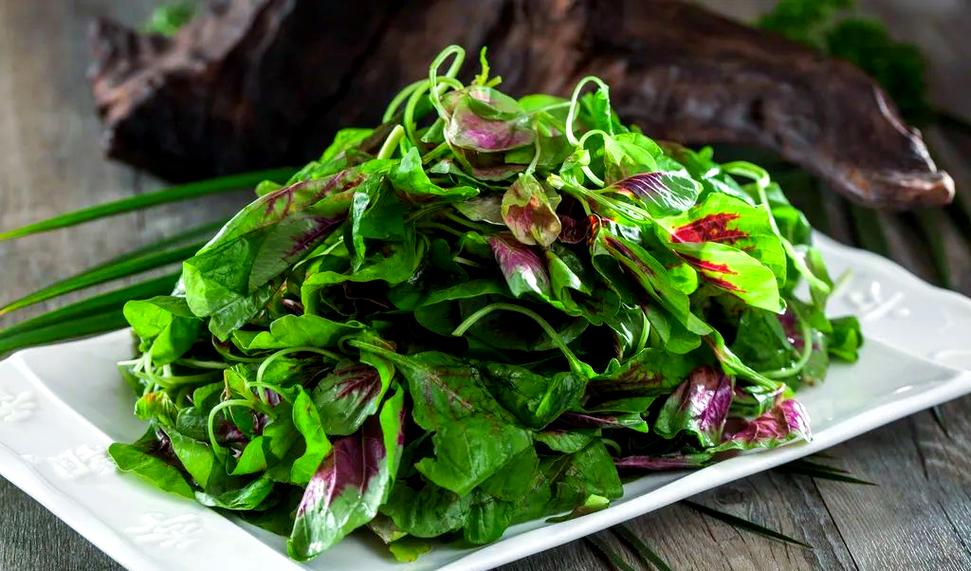 甲减病人补硒(十字花科蔬菜对甲状腺的影响)-硒宝网