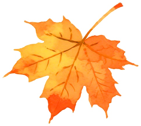 发烧能补硒吗（不同鸡蛋营养差异分析）-硒宝网