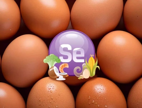 发烧能补硒吗（不同鸡蛋营养差异分析）-硒宝网