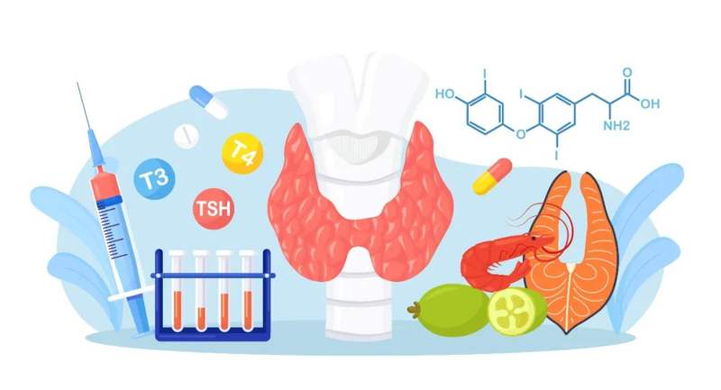 补硒高的食物（女性甲状腺疾?。?硒宝网