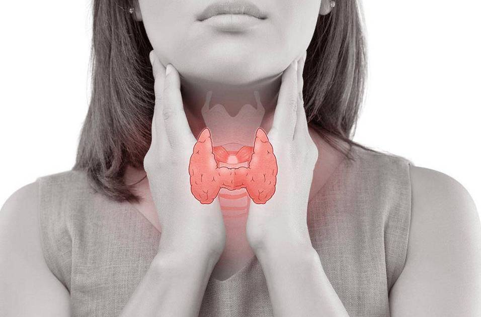 吃啥补硒最好（）-硒宝网