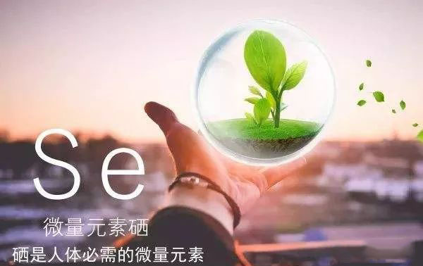 宇康教授补硒（硒与人体健康关系）-硒宝网