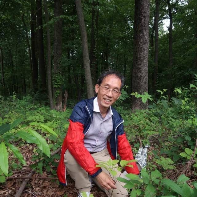 补硒参是什么（）-硒宝网