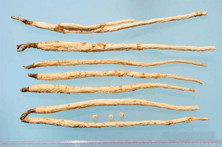 补硒参是什么（）-硒宝网