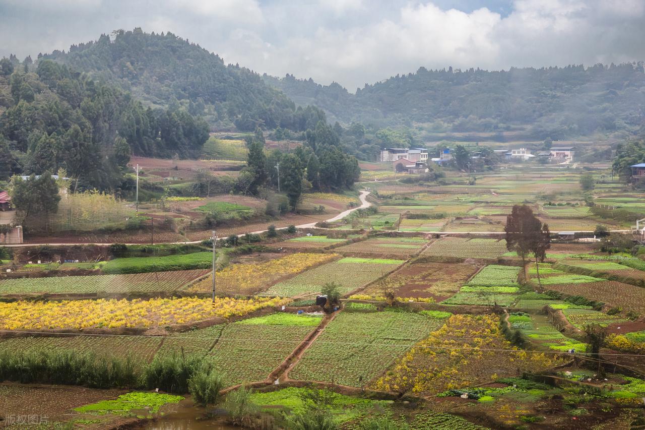 血脂稠能补硒(补硒对心脏的好处)-硒宝网