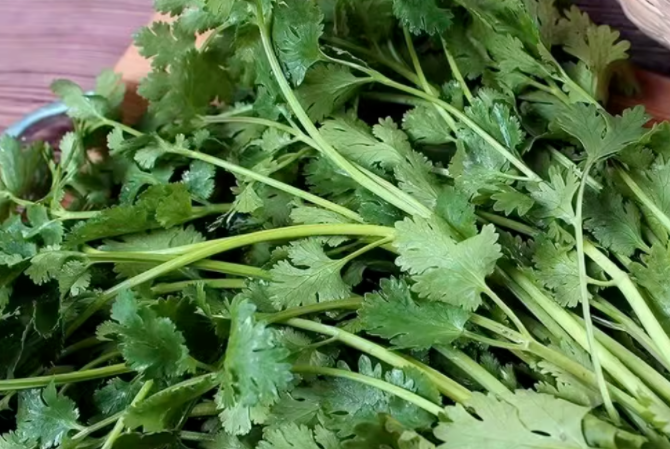 补硒排毒组合（海带香菜大蒜排毒食物）-硒宝网