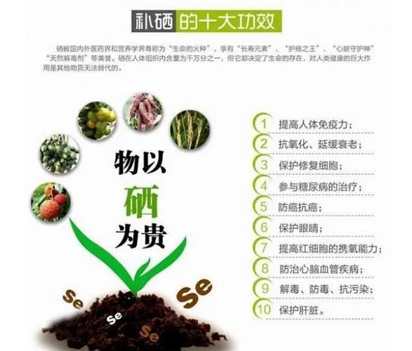 透析能补硒吗(富硒茶叶生物利用性)-硒宝网