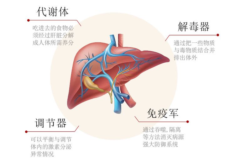 补硒年终总结（硒与肝纤维化关系研究）-硒宝网