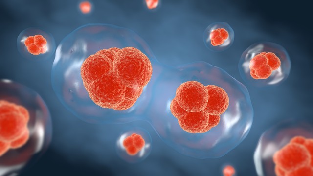 补硒年终总结（硒与肝纤维化关系研究）-硒宝网