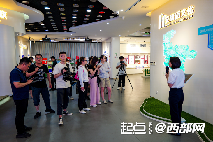 陕西安康补硒(中国硒谷硒元素产业能量)-硒宝网