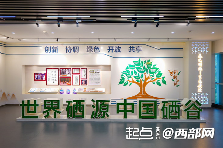 陕西安康补硒(中国硒谷硒元素产业能量)-硒宝网