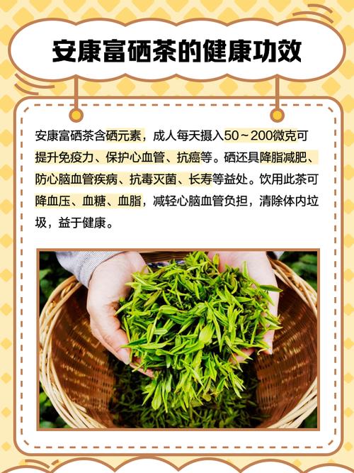 陕西安康补硒(富硒产业技术革新与产品迭代)-硒宝网