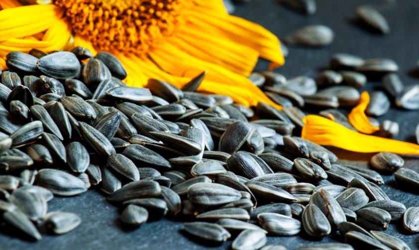 补硒后的食品（补硒食品推荐）-硒宝网