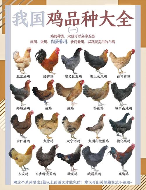 鸡需要补硒吗(中国期刊全文数据库文献检索)-硒宝网