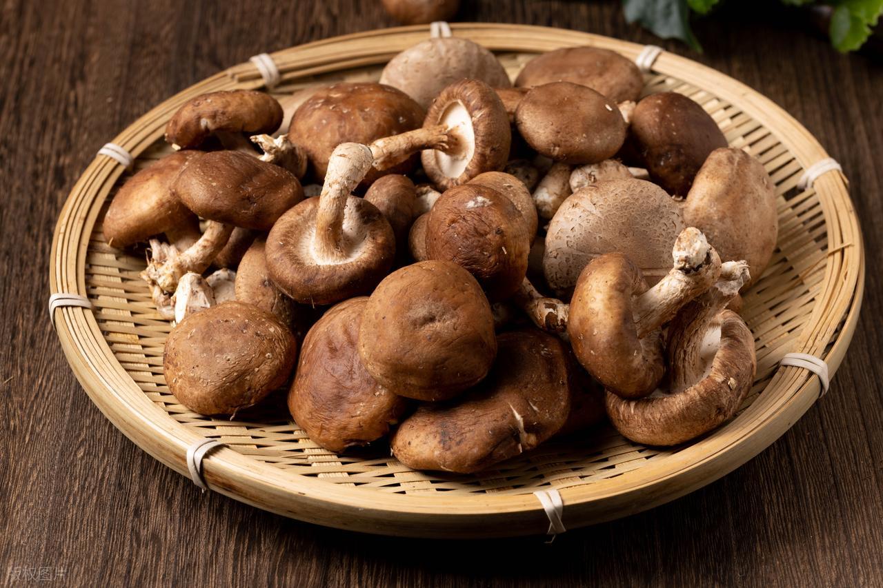 补硒降血糖吗(蘑菇高硒食物)-硒宝网