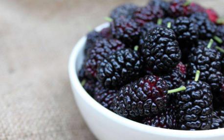 吃桑果补硒吗（女人吃桑葚好处）-硒宝网