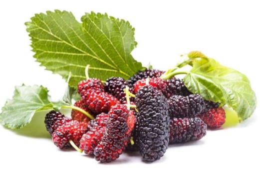 吃桑果补硒吗（女人吃桑葚好处）-硒宝网