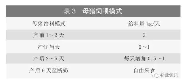 母猪能补硒吗(母猪免疫调节作用)-硒宝网