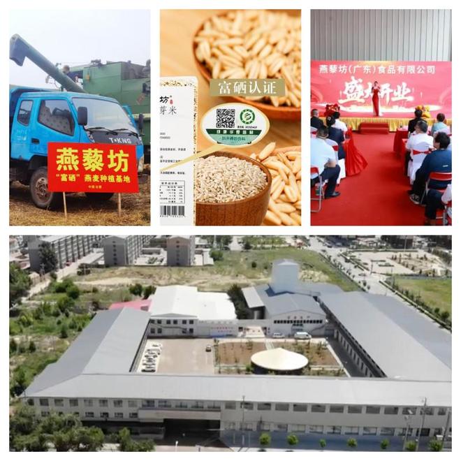 补硒可以吃吗（富硒燕麦全产业链）-硒宝网