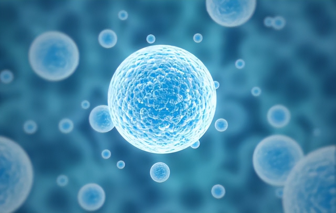 补硒要吃什么（硒与免疫系统健康）-硒宝网