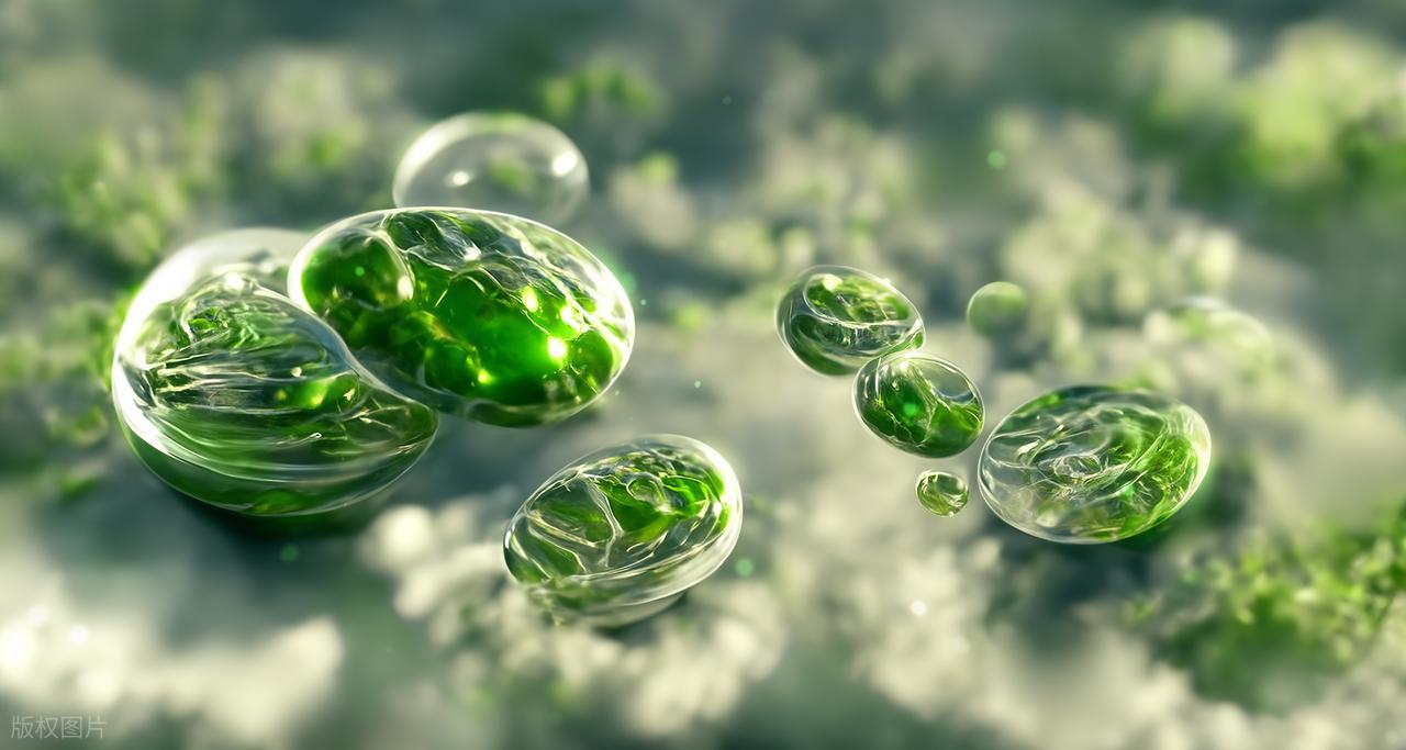 补硒要吃什么（硒与免疫系统健康）-硒宝网