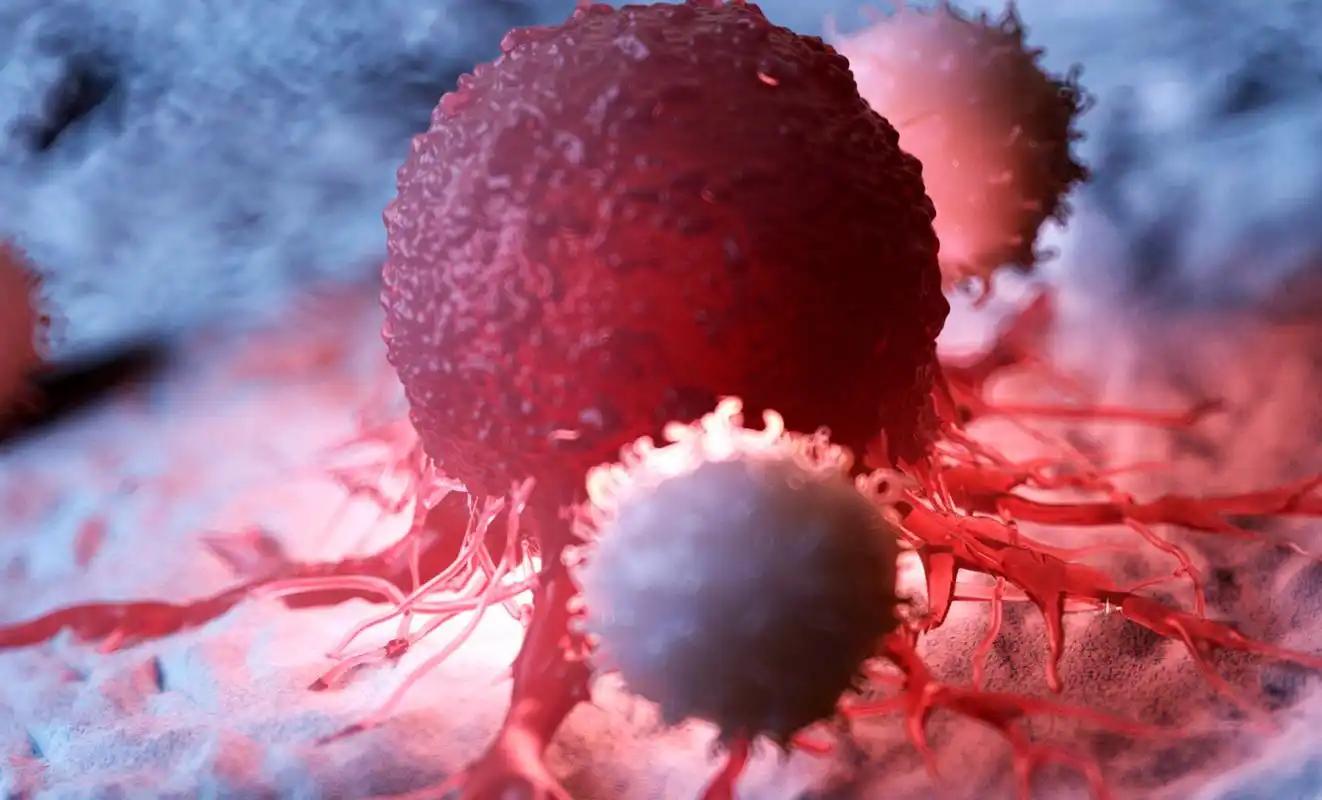 什么病才补硒（硒与抗癌研究）-硒宝网