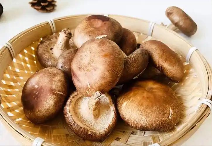 什么病才补硒（硒与抗癌研究）-硒宝网