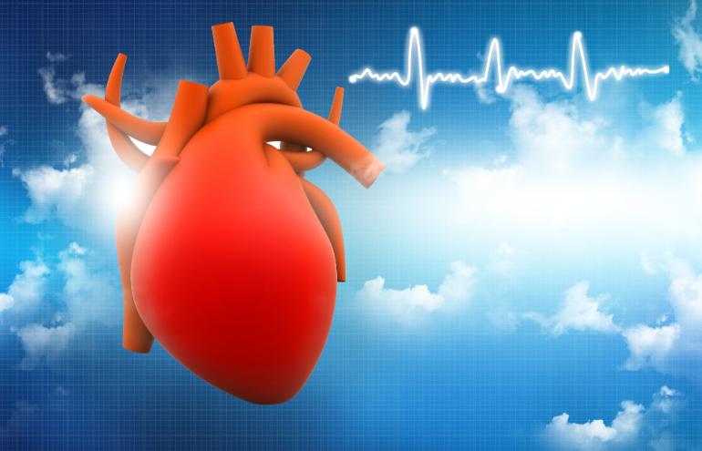 血脂高能补硒（硒与心血管疾病预防）-硒宝网