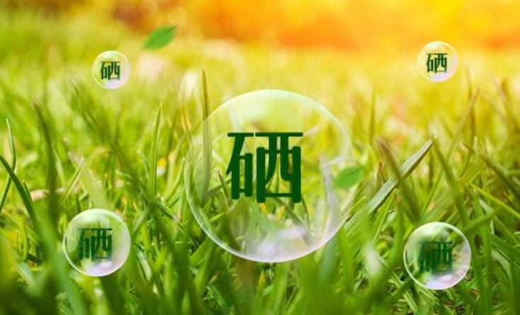 血脂高能补硒（硒与心血管疾病预防）-硒宝网