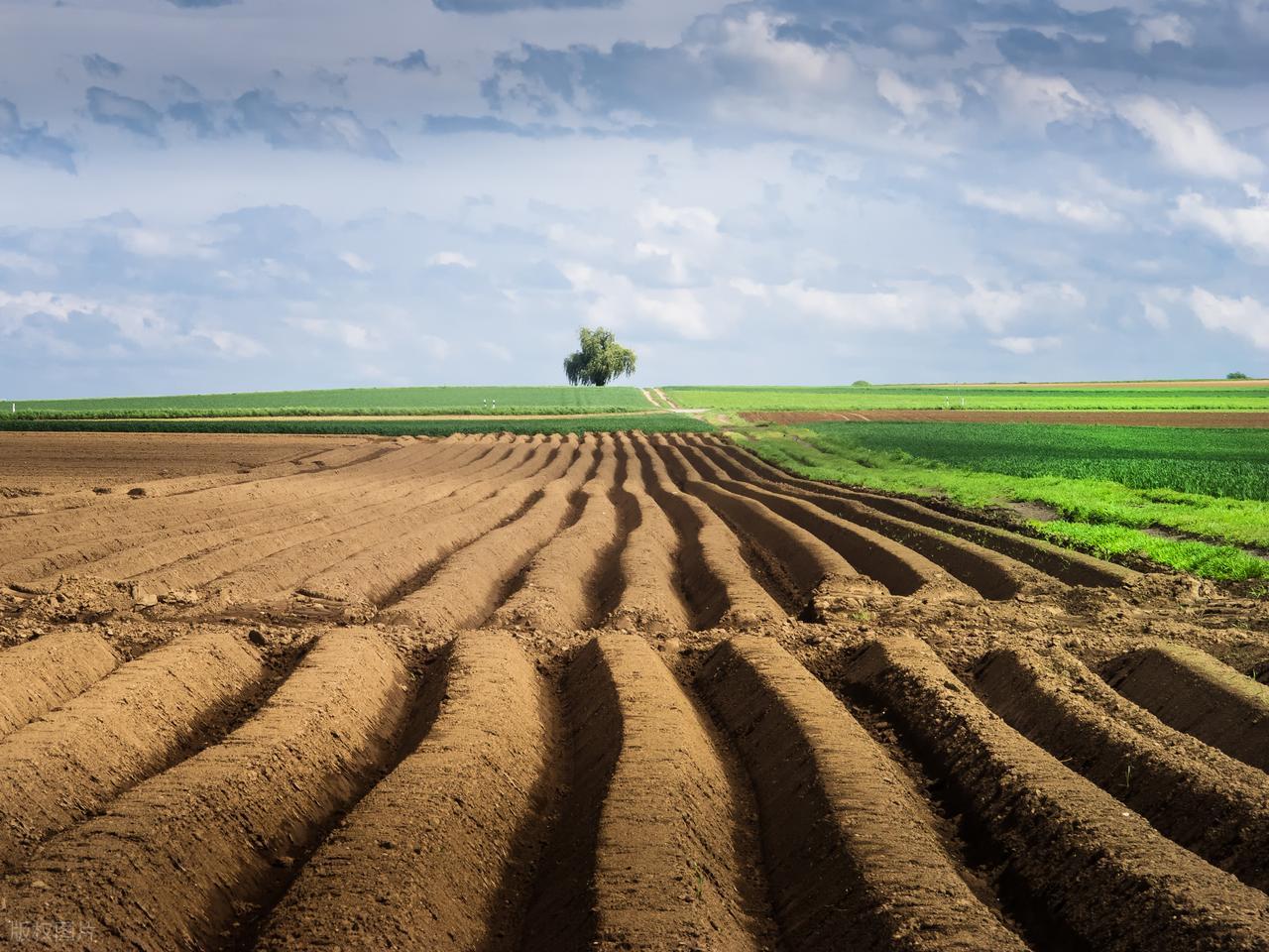 血脂高能补硒（富含硒的食物）-硒宝网