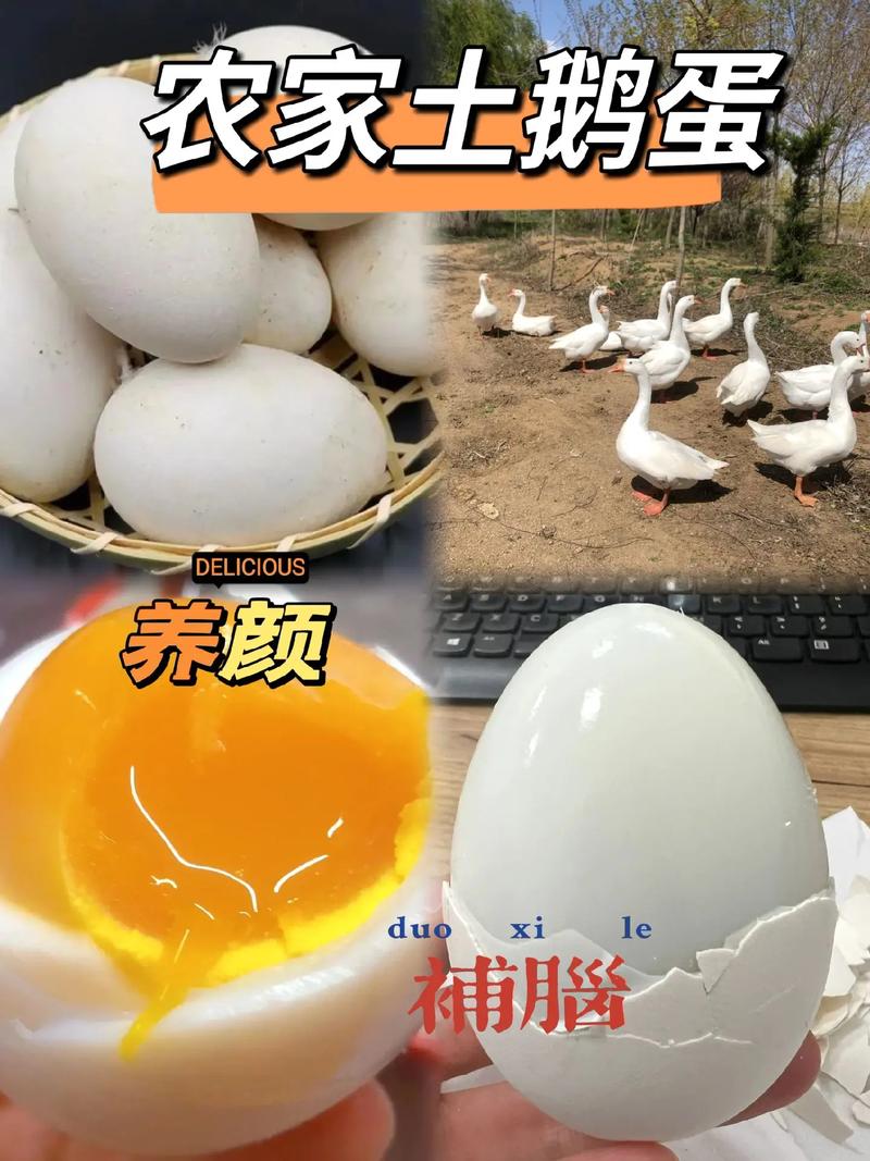 鹅蛋能补硒么(硒的功效与作用)-硒宝网