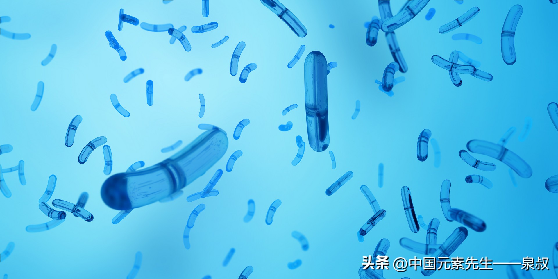 锌硒同补作用（）-硒宝网