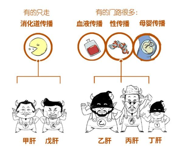 肝炎要补硒吗(甲肝病毒传播途径)-硒宝网