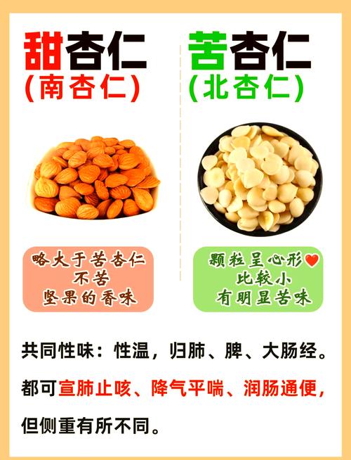 苦杏仁补硒吗(山杏仁功效作用)-硒宝网