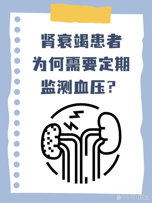 肾衰能补硒吗（控制血压肾衰）-硒宝网