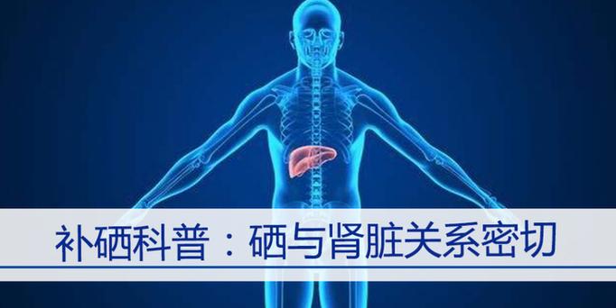 肾衰能补硒吗（控制血压肾衰）-硒宝网