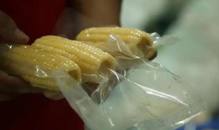 玉米能补硒吗(芥蓝护甲状腺蔬菜)-硒宝网