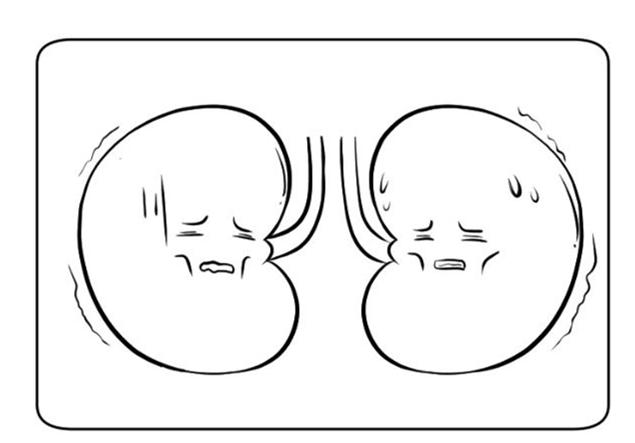 肾衰能补硒吗（睡好觉的重要性）-硒宝网