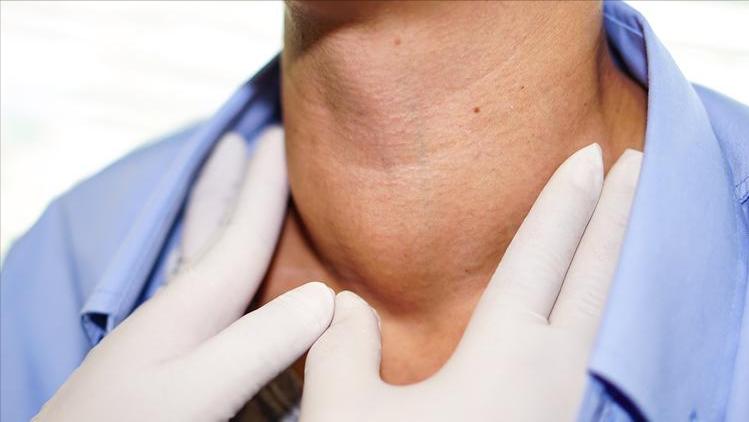 啥水果能补硒()-硒宝网