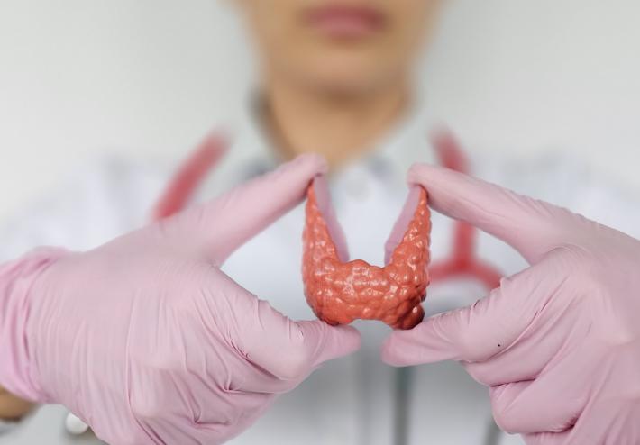 玉米能补硒吗（硒含量高的食物）-硒宝网