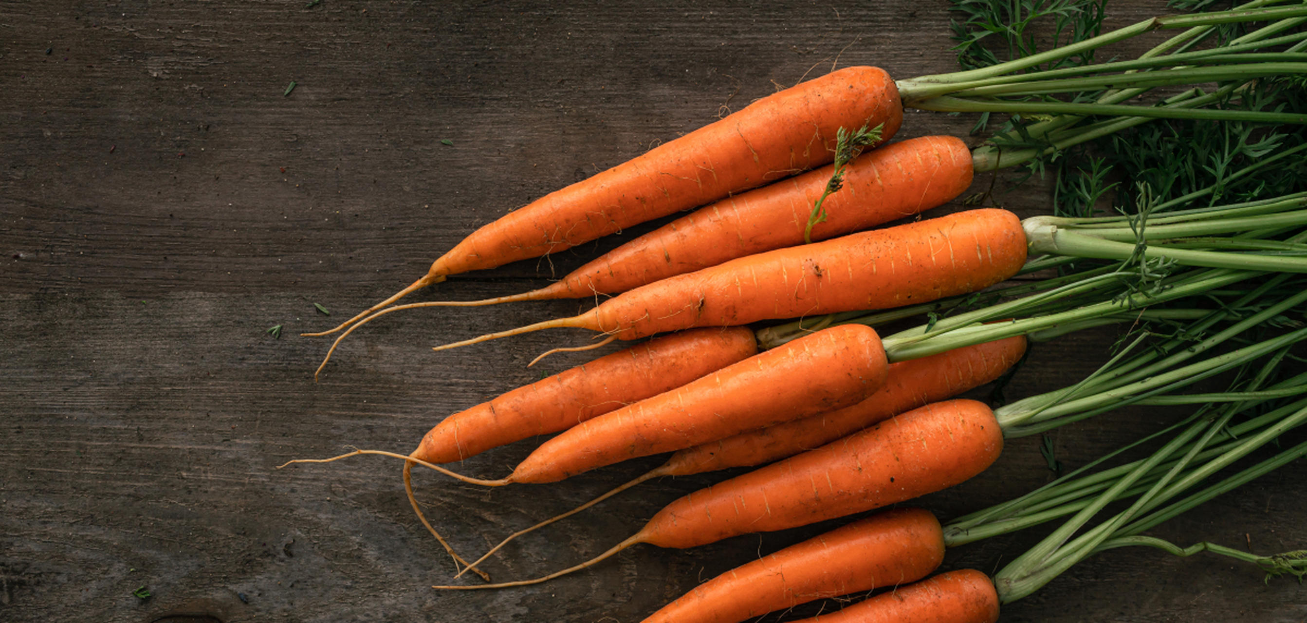 玉米能补硒吗（硒含量高的食物）-硒宝网