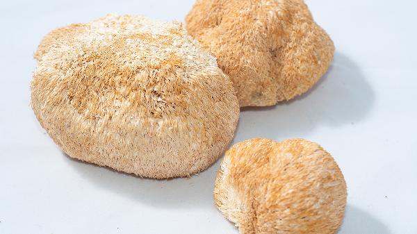 补硒喝什么药(牡蛎坚果深海鱼改善精子活力营养素)-硒宝网