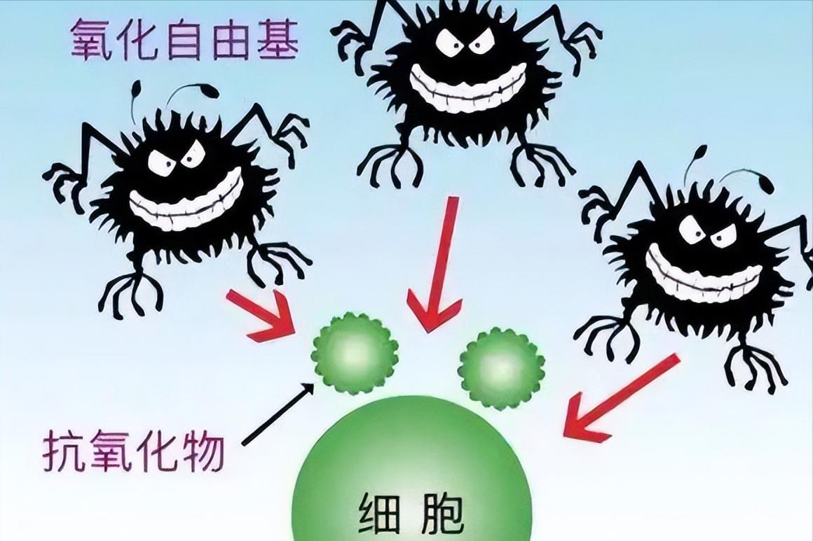 肝癌能补硒吗(缺硒的症状和危害)-硒宝网