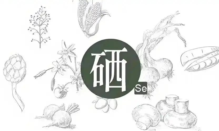 肝癌能补硒吗(缺硒的症状)-硒宝网