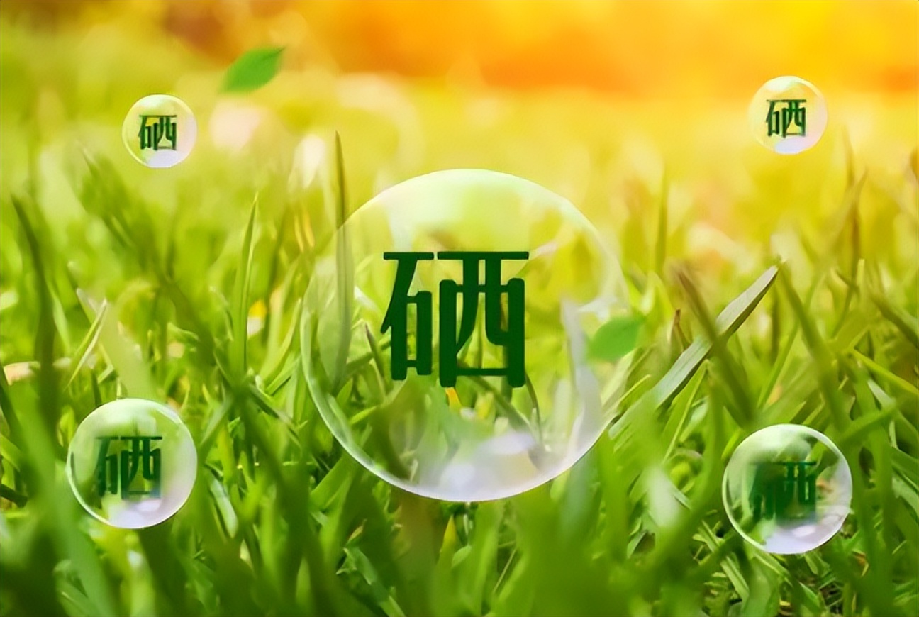 肝癌能补硒吗(硒与心脏健康关系)-硒宝网