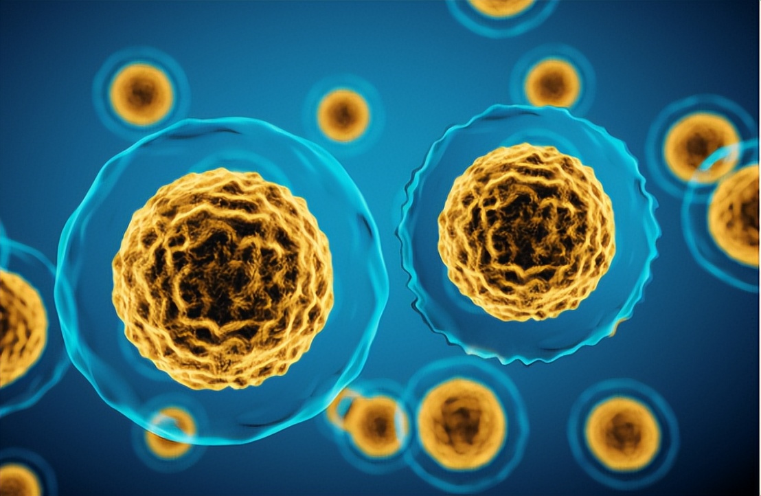 肝癌能补硒吗(硒与心脏健康关系)-硒宝网